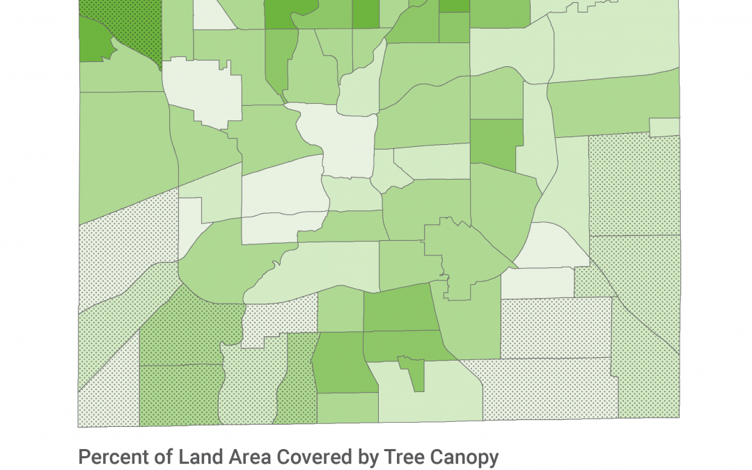 How Does Tree Coverage Relate to Built and Natural Environment?