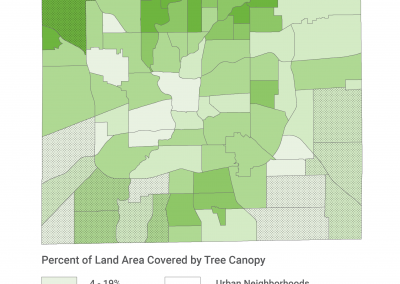 How Does Tree Coverage Relate to Built and Natural Environment?